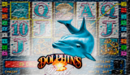 Dolphin's Pearl